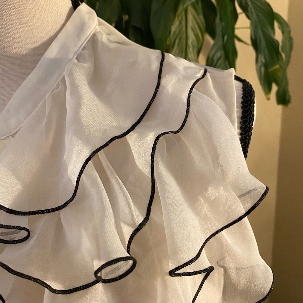 The Limited Sheer Ruffled Blouse - Picture 5 of 10